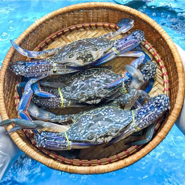 Ghẹ xanh loại 2