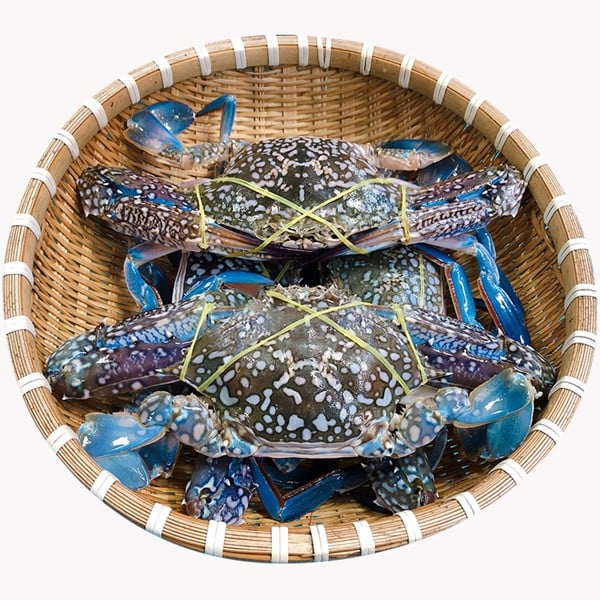 Ghẹ Xanh loại 1 (3-4 con/kg)