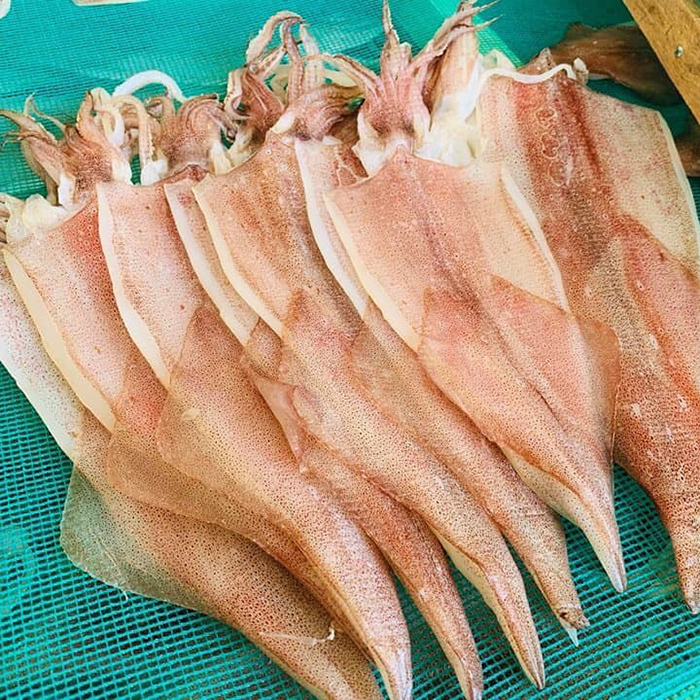 Mực 1 nắng